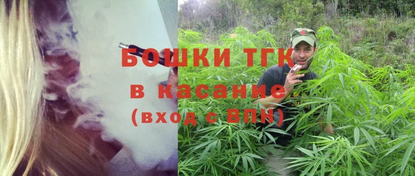 шишки Горняк