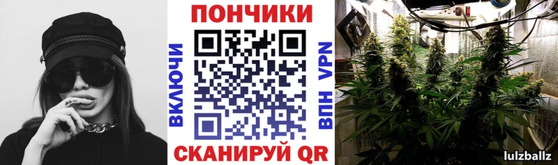 дарнет шоп  Новоржев  Бошки Шишки планчик 